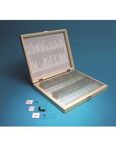United Scientific Prepared Slide Set, 100 Slides